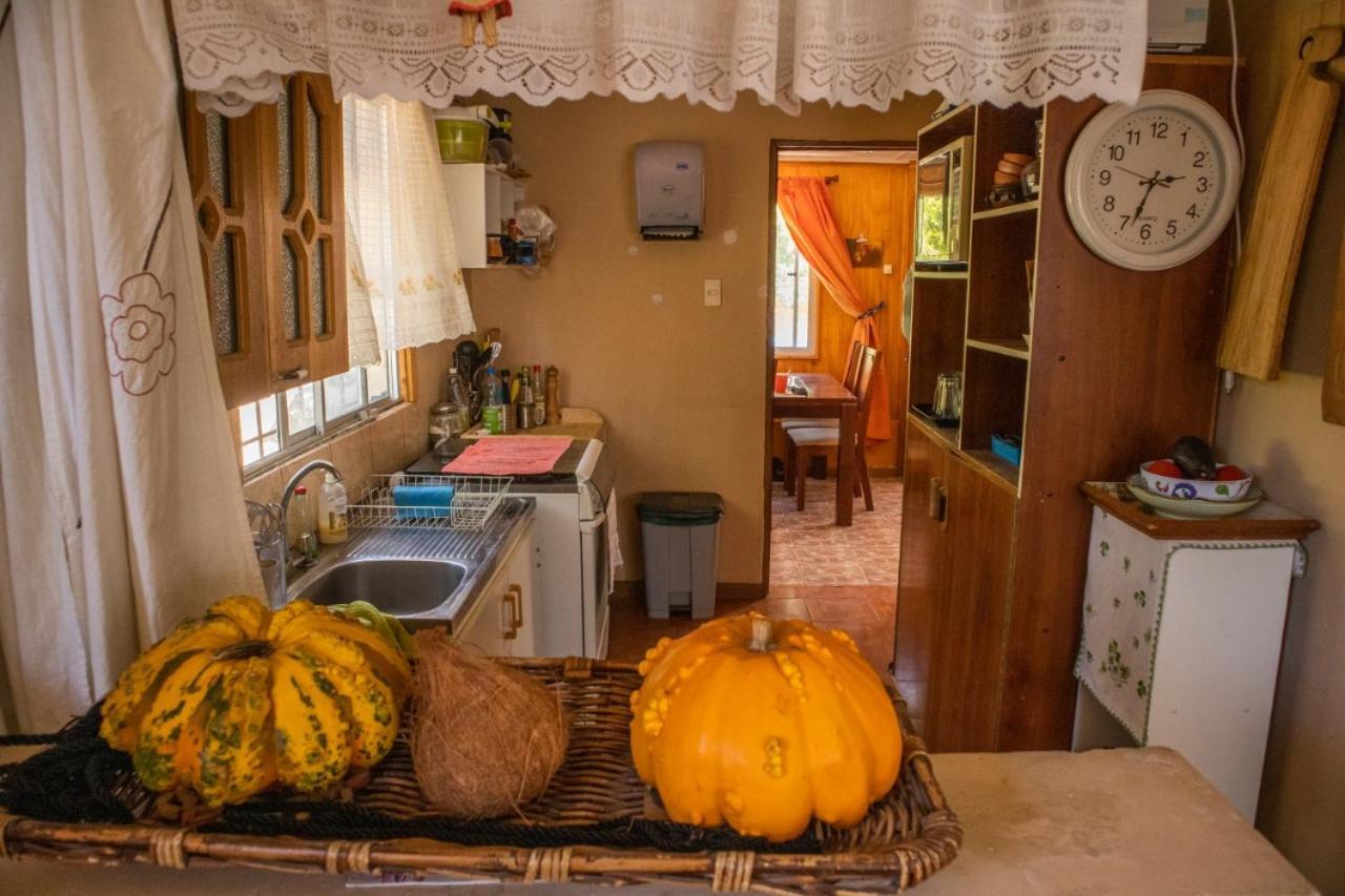 Apartamento La Huerta Vicuña Exterior foto